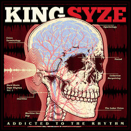 Album cover of Addicted to the Rhythm