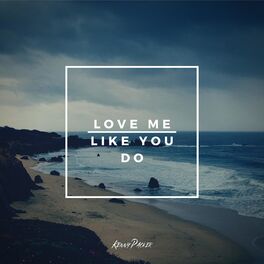Album cover of Love Me Like You Do