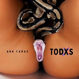 Album cover of TODXS