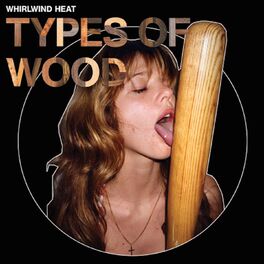 Album cover of Types of Wood