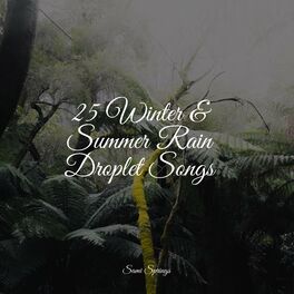 Album cover of 25 Winter & Summer Rain Droplet Songs