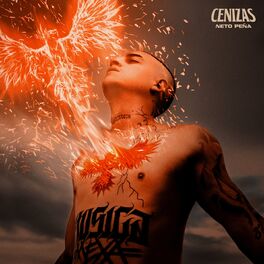 Album cover of Cenizas