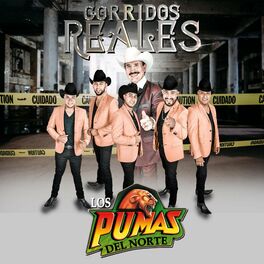 Los Pumas Del Norte - Corridos Verdaderos: letras y canciones | Escúchalas  en Deezer