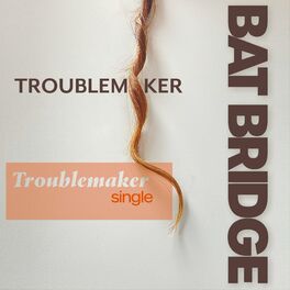 Album cover of Troublemaker