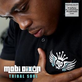 Album cover of Tribal Soul