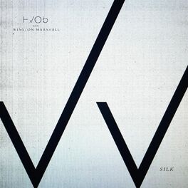 Album cover of Silk