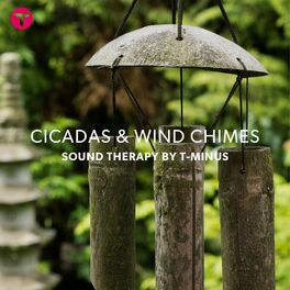 Album cover of Cicadas and Wind Chimes