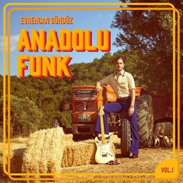 Album cover of Anadolu Funk, Vol. 1