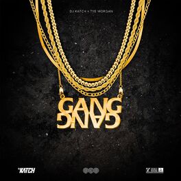 Album cover of Gang Gang