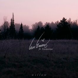 Album cover of Willow