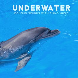 Album cover of Underwater Dolphin Sounds with Piano Music: Autism Calming Sensory, Psycho Therapy for Kids