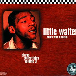 Album cover of Blues With A Feelin'