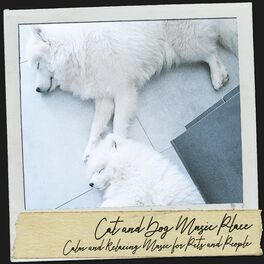 Album cover of Cat and Dog Music Place: Calm and Relaxing Music for Pets and People