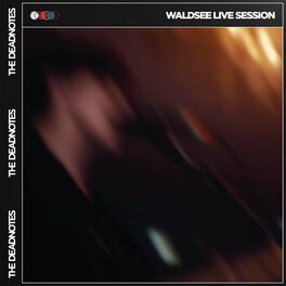 Album cover of Waldsee Live Session