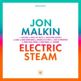 Album cover of Electric Steam
