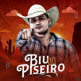 Album cover of Biu do Piseiro