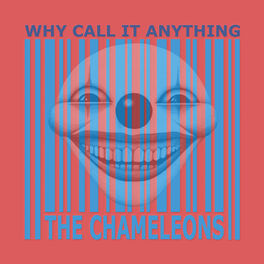 Album cover of Why Call It Anything