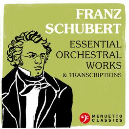 Album cover of Franz Schubert: Essential Orchestral Works & Transcriptions