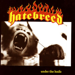 Album cover of Under The Knife