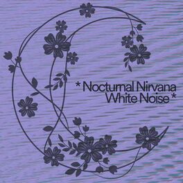 Album cover of * Nocturnal Nirvana White Noise *