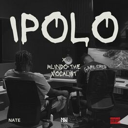 Album cover of iPolo