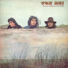 Album cover of Es Una Nube No Hay Duda