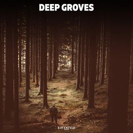 Album cover of Deep Grooves