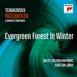 Album cover of The Nutcracker, Op. 71/TH14/Act I/Evergreen Forest in Winter