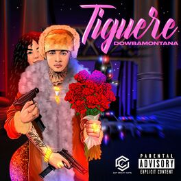 Album cover of Tiguere