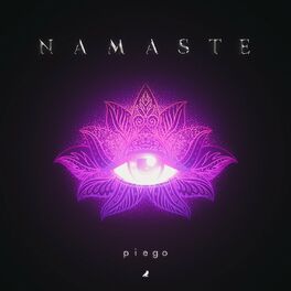 Album cover of Namaste