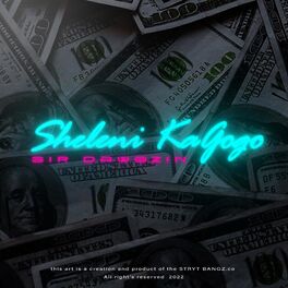 Album cover of Sheleni KaGogo (feat. Problem Child & Dream Bee)