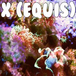 Album cover of X (EQUIS) (Y No Te Voy A Negar Estamos Claro' Y Ya)