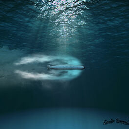 Album cover of Torpedo