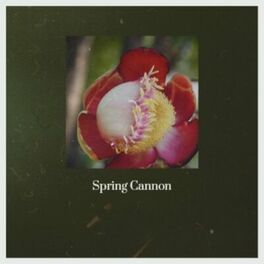 Album cover of Spring Cannon