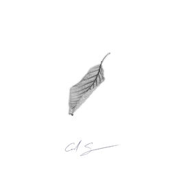 Album cover of I Fall Apart