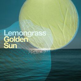Album cover of Golden Sun
