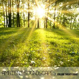 Album cover of Ambient SoundScapes - Vol 28