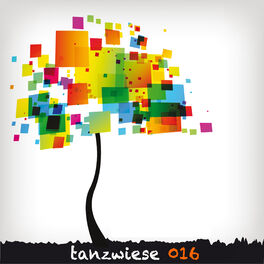 Album cover of Tanzwiese 016