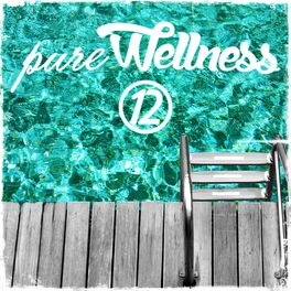 Album cover of Pure Wellness, Vol. 12
