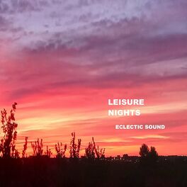 Album cover of Leisure Nights