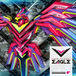 Album cover of S2TB Files4: Eagle