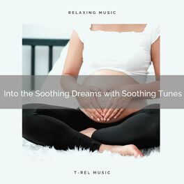 Album cover of ! ! Into the Soothing Dreams with Soothing Tunes