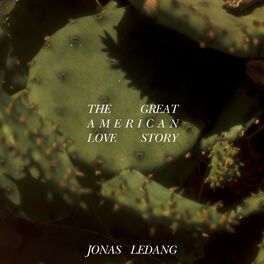 Album cover of The Great American Love Story