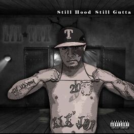 Album cover of IM GUCCI (feat. DUC, PROBLEM CHILD & ESSAY POTNA)