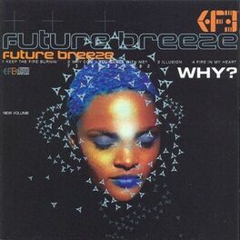 Album cover of Why?