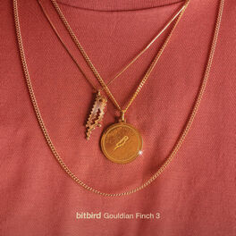 Album cover of Gouldian Finch 3