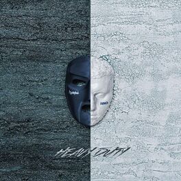 Album cover of Heavy Duty