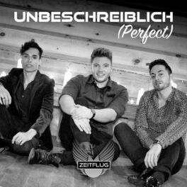 Album cover of Unbeschreiblich (Perfect)