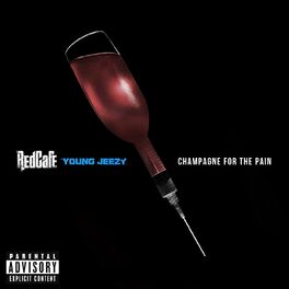 Album cover of Champagne For The Pain