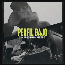 Album cover of Perfil Bajo